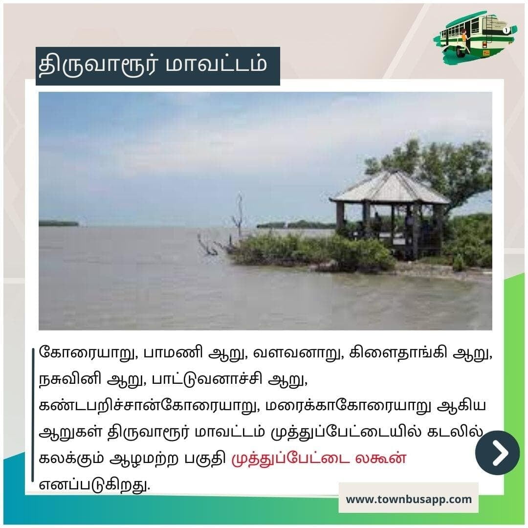 Muthupet Lagoon